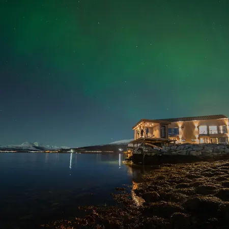 Steam Pier Adventure Lägenhet