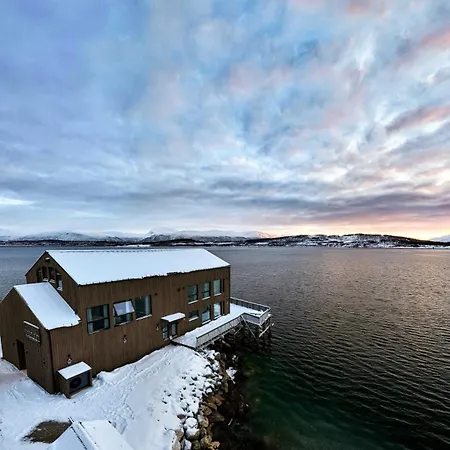 Steam Pier Adventure * Kvaloya