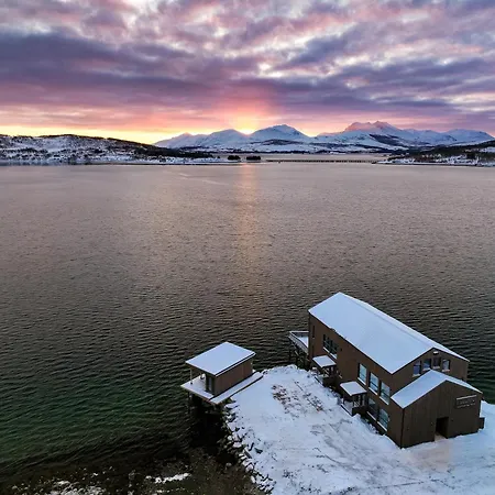 Steam Pier Adventure * Kvaloya