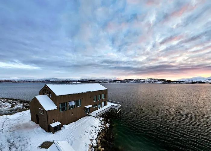 Steam Pier Adventure * Kvaloya